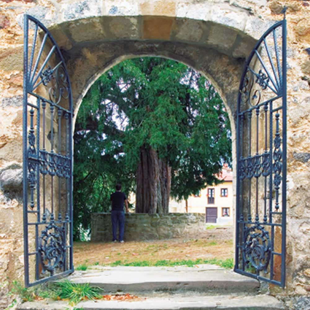 Tejo de Santibanes de la Fuente